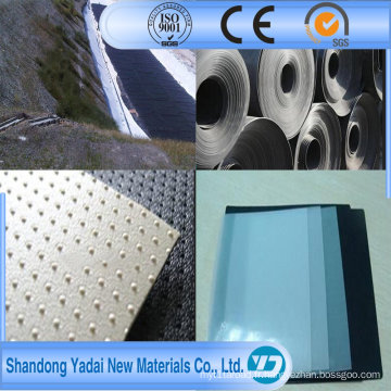 Doublure de bassin en HDPE Geomembrane